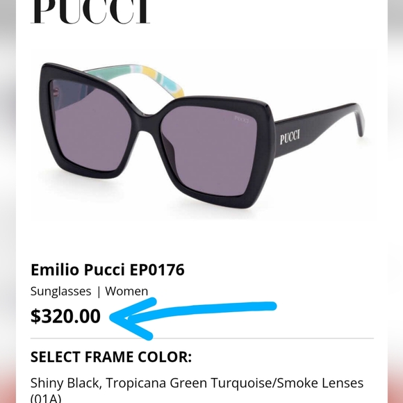 NWT Emilio PUCCI Butterfly Sunglasses - Picture 12 of 13